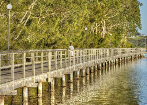 Apex Park Picnic Area Narooma - Kempsey Accommodation 1
