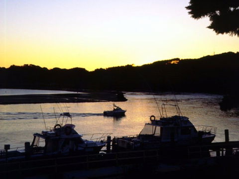 Apex Park Picnic Area Narooma - Kempsey Accommodation 2