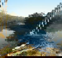 Bilya Walk Track - Kempsey Accommodation