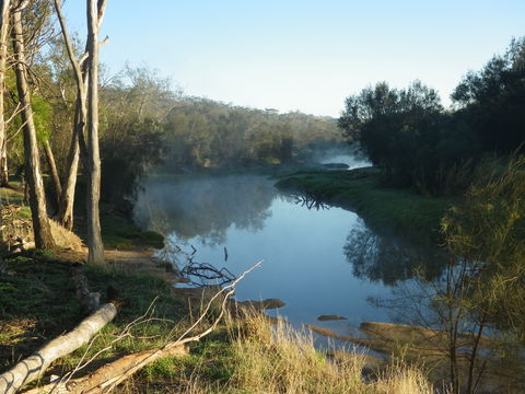 Bilya Walk Track - Kempsey Accommodation 0