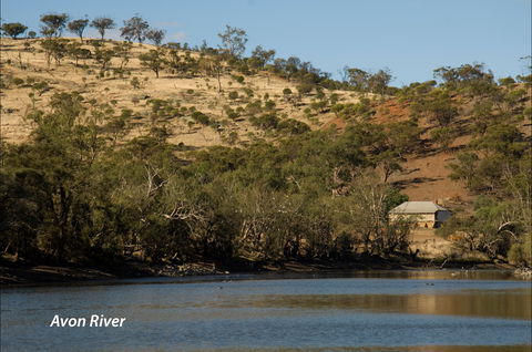 Bilya Walk Track - Kempsey Accommodation 2