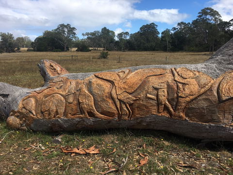 Bilston's Tree - Kempsey Accommodation 1