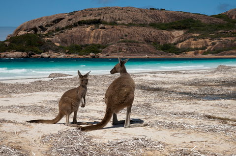 Cape Le Grand National Park - Kempsey Accommodation 0