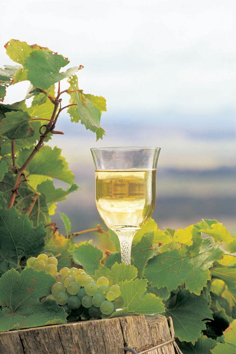 Flavours Of The Porongurup Range Trail - Kempsey Accommodation 0