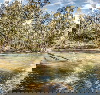 Flea Creek Picnic Area