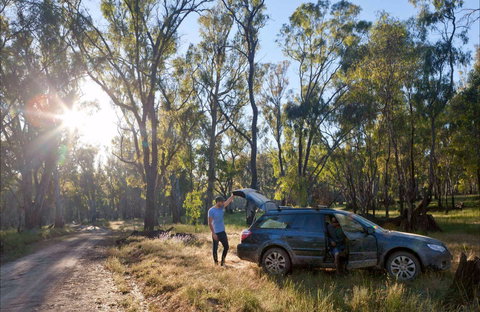 Forest Drive, Murrumbidgee Valley National Park - Kempsey Accommodation 0