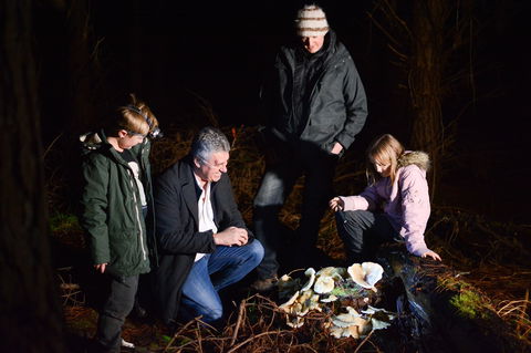 Ghost Mushroom Lane - Kempsey Accommodation 2