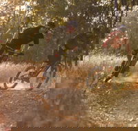 Kholo Gardens Trails - Kempsey Accommodation