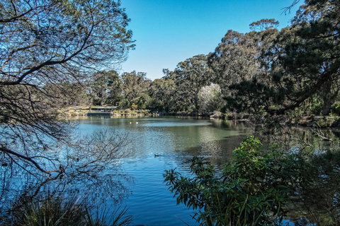 Lake Alexandra Reserve - Kempsey Accommodation 1