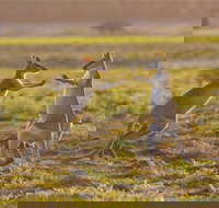 Mary River Area - Kempsey Accommodation