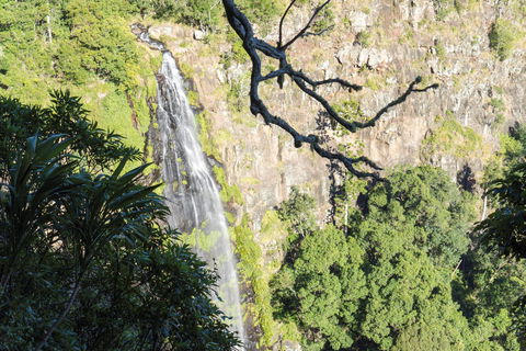 Morans Falls Track, Lamington National Park - Kempsey Accommodation 0