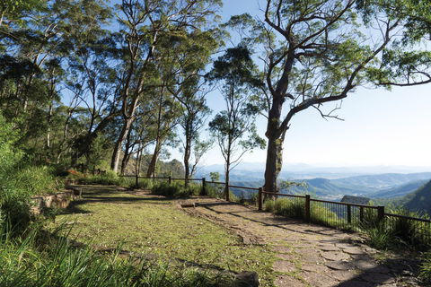 Morans Falls Track, Lamington National Park - Kempsey Accommodation 1
