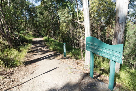 Mt Coot-tha Tourist Drive - Kempsey Accommodation 0