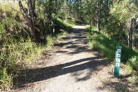 Mt Coot-tha Tourist Drive - Kempsey Accommodation 2