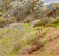 Old Mountain Road Walking Track - Kempsey Accommodation