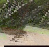 Riverview walking track - Kempsey Accommodation