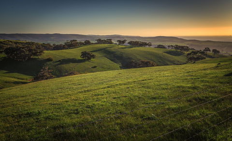 Starfish Hill Windfarm - Kempsey Accommodation 1