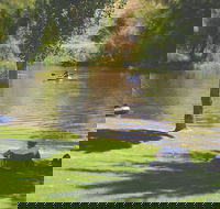 The Lions Junction Park - Tumut