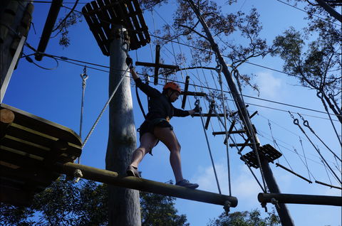 Trees Adventure Nowra Park - Kempsey Accommodation 0