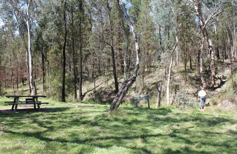 Wallaby Walking Track - Kempsey Accommodation 0
