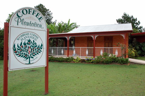 Wombah Coffee Plantation - Kempsey Accommodation 0