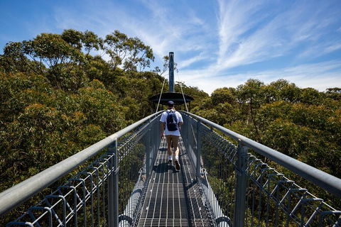Illawarra Fly Treetop Adventures Treetop Walk Admission Ticket - Kempsey Accommodation 0