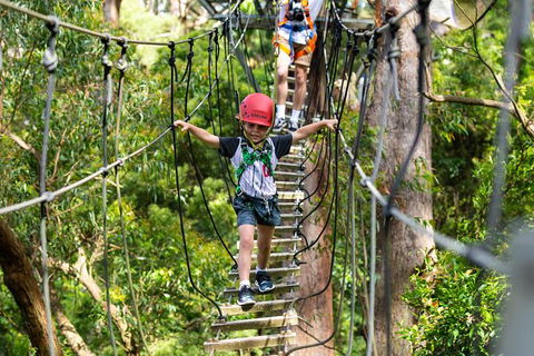 Illawarra Fly Treetop Adventures Treetop Walk Admission Ticket - Kempsey Accommodation 3