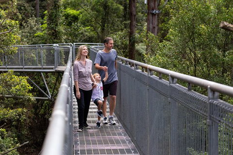 Illawarra Fly Treetop Adventures Treetop Walk Admission Ticket - Kempsey Accommodation 1