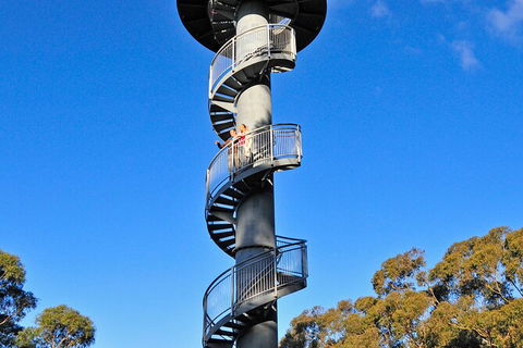 Illawarra Fly Treetop Adventures Treetop Walk Admission Ticket - Kempsey Accommodation 5