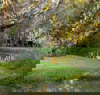 Gateway Island Parklands - Kempsey Accommodation