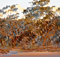 Yawura Yarun - Kempsey Accommodation