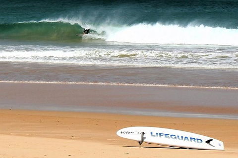 Half Day Manly Beach And More - Kempsey Accommodation 5