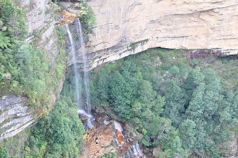 All-Inclusive Blue Mountains Tour In A Luxury Mercedes Sprinter - Kempsey Accommodation 9