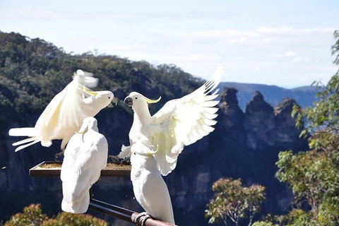 All-Inclusive Blue Mountains Tour In A Luxury Mercedes Sprinter - Kempsey Accommodation 1