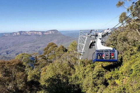 All-Inclusive Blue Mountains Tour In A Luxury Mercedes Sprinter - Kempsey Accommodation 11