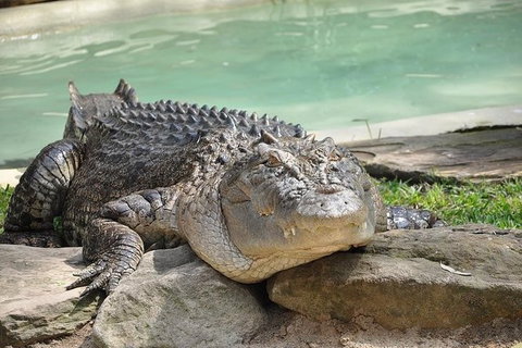 All-Inclusive Blue Mountains Tour In A Luxury Mercedes Sprinter - Kempsey Accommodation 7