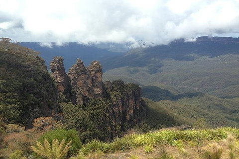 All-Inclusive Blue Mountains Tour In A Luxury Mercedes Sprinter - Kempsey Accommodation 3