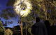 Wollemi Twilight Wildlife Tour - thumb 0