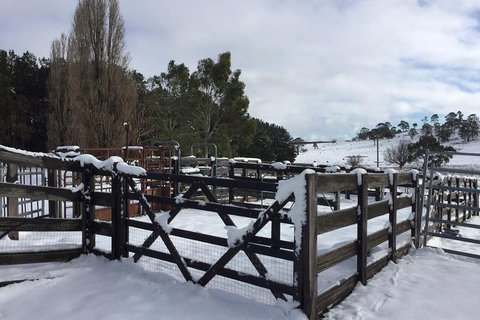 Paddock To Plate Farm Tour And Tasting - Kempsey Accommodation 11