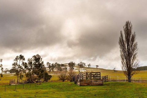 Paddock To Plate Farm Tour And Tasting - Kempsey Accommodation 0