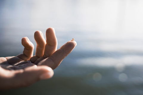 Oyster Farm Tour- Hawkesbury River (1hr North Of Sydney). - Kempsey Accommodation 2