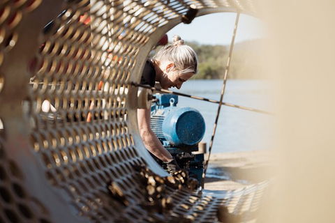 Oyster Farm Tour- Hawkesbury River (1hr North Of Sydney). - Kempsey Accommodation 3