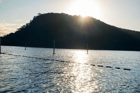 Oyster Farm Tour- Hawkesbury River (1hr North Of Sydney). - Kempsey Accommodation 4