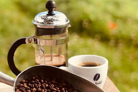Coffee Farm Tour And Workshop, Byron Bay Hinterland - Kempsey Accommodation 0