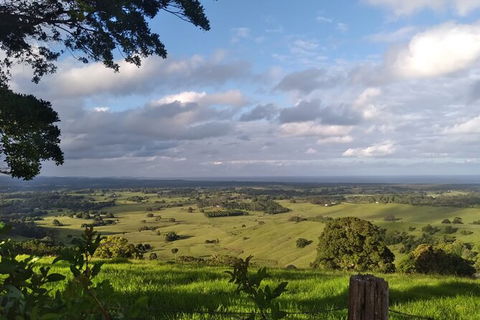 Coffee Farm Tour And Workshop, Byron Bay Hinterland - Kempsey Accommodation 4