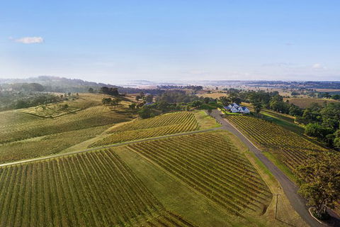 Audrey Wilkinson Vineyard: Fromage And Fortified Wine Experience - Kempsey Accommodation 1