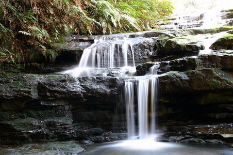 Private 10-hour Tour To Blue Mountains From Sydney - Hotel Pick Up & Drop Off - Kempsey Accommodation 6