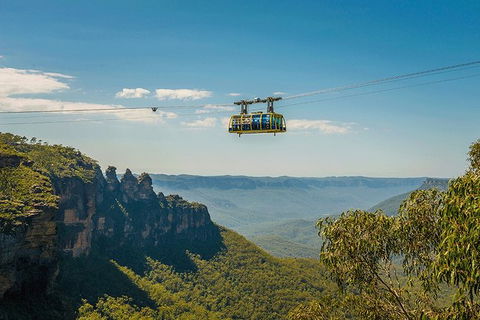 Blue Mountains Highlights, Wildlife Park And Scenic World Full Day Private Tour - Kempsey Accommodation 0