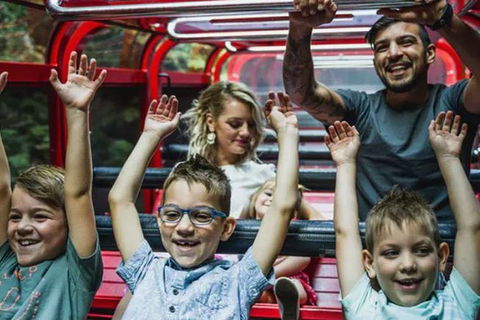 Blue Mountains Highlights, Wildlife Park And Scenic World Full Day Private Tour - Kempsey Accommodation 5