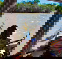 Jumping Crocs  Nature Adventure Cruise from Darwin - Kempsey Accommodation